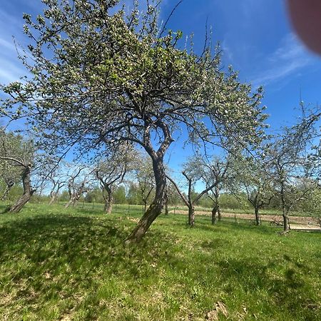 Swietokrzyski Klimacik Bodzentyn المظهر الخارجي الصورة